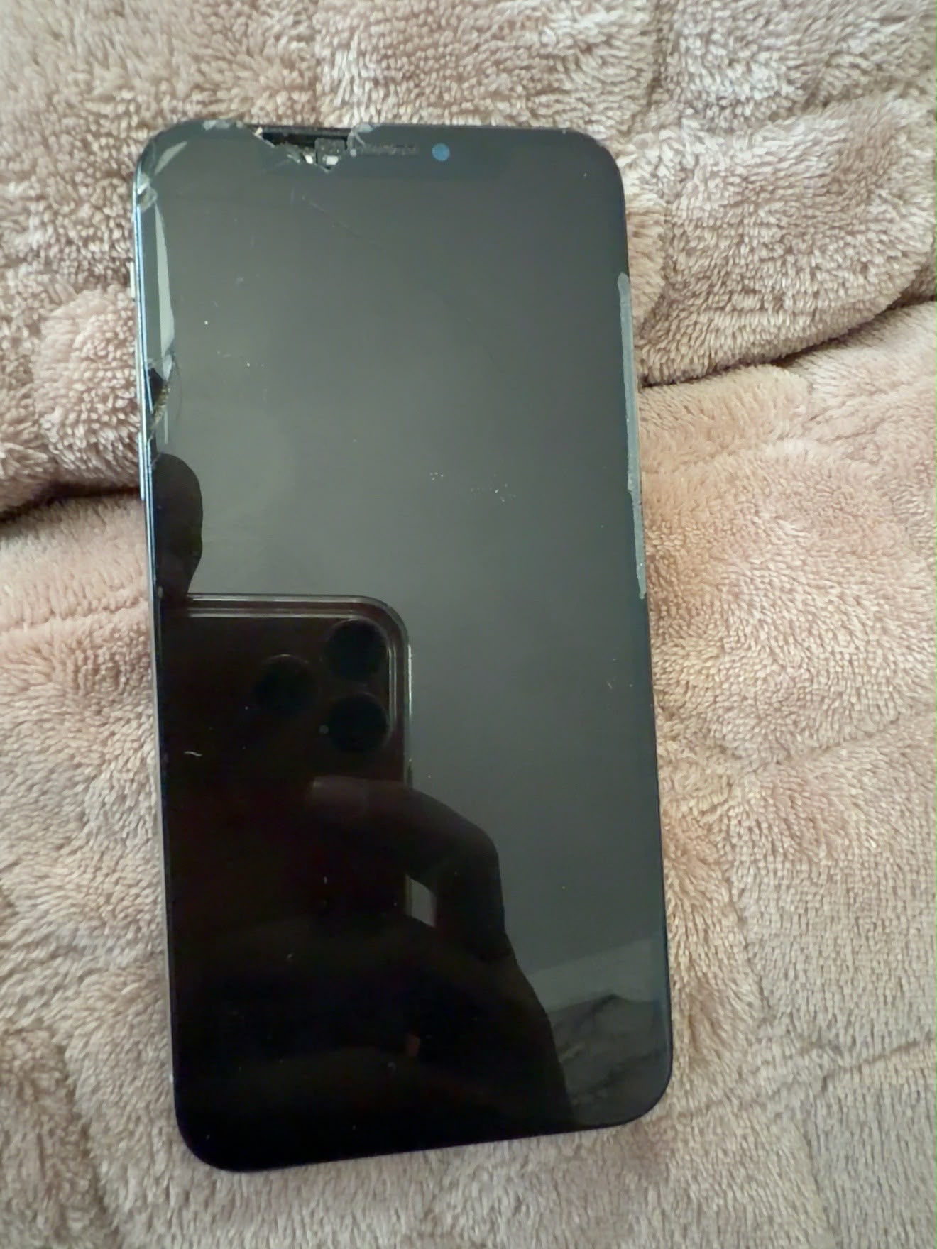 iPhone X Display-Austausch